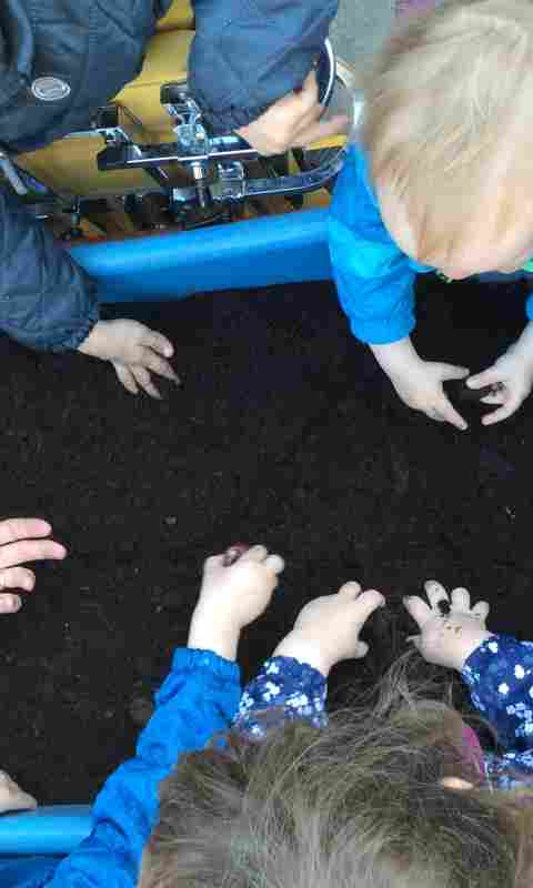 Billedet viser børn der er ved at lægge kastanjer i jorden.